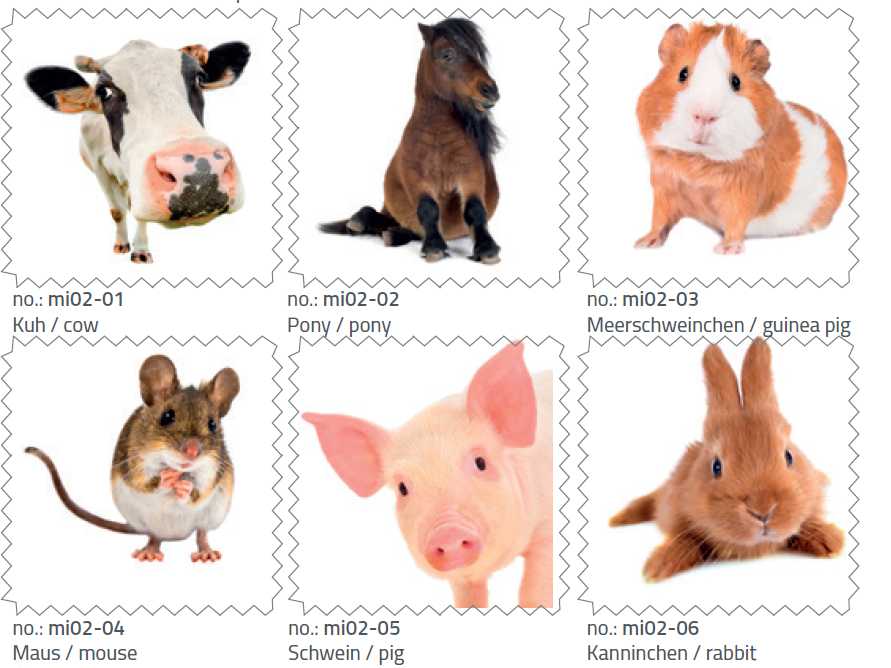 microfiber clothes mi02 domestic animals 18x18