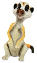 Optipet Meercat