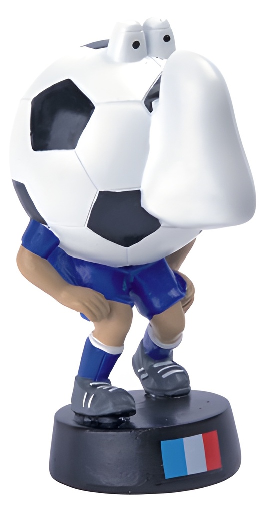 Soccer-Nose France