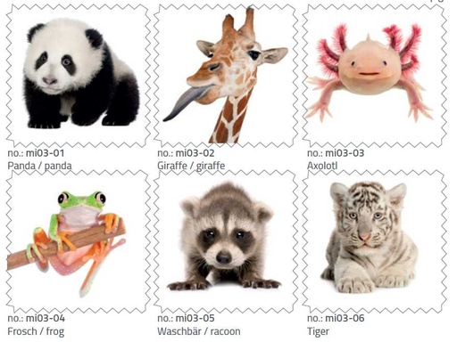 microfiber clothes mi03 cool animals 18x18